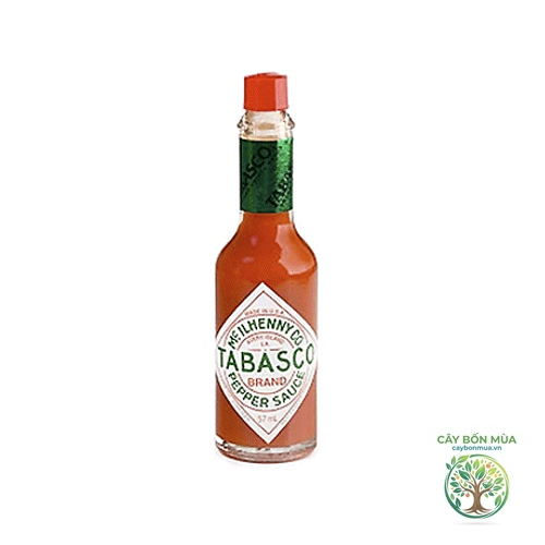 cây ớt Tabasco - Image 2