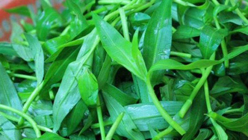 cây rau trai - Image 3
