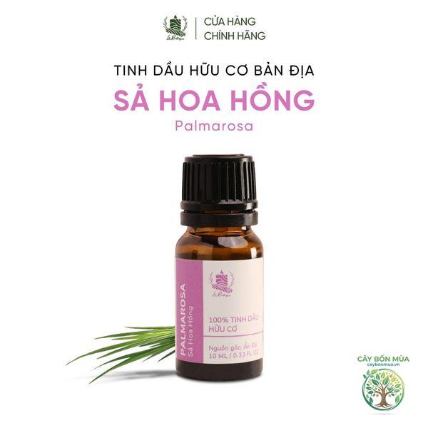 cây sả Palmarosa - Image 4