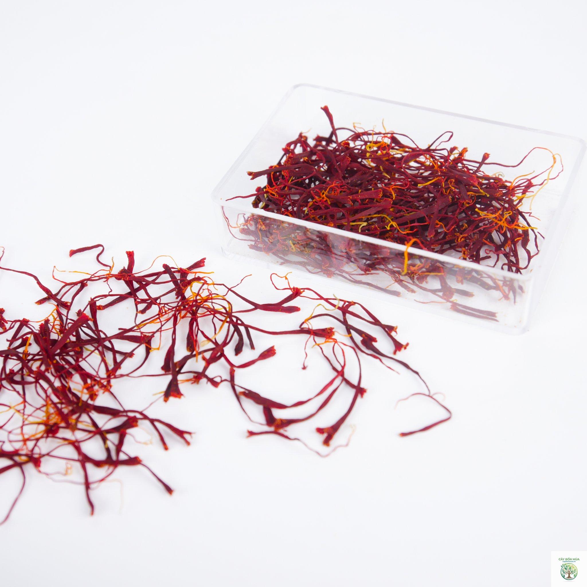 cây saffron Hy Lạp - Image 5