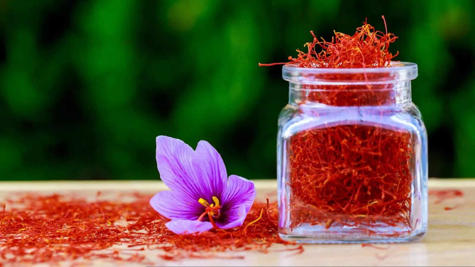 cây saffron Kashmir - Image 3