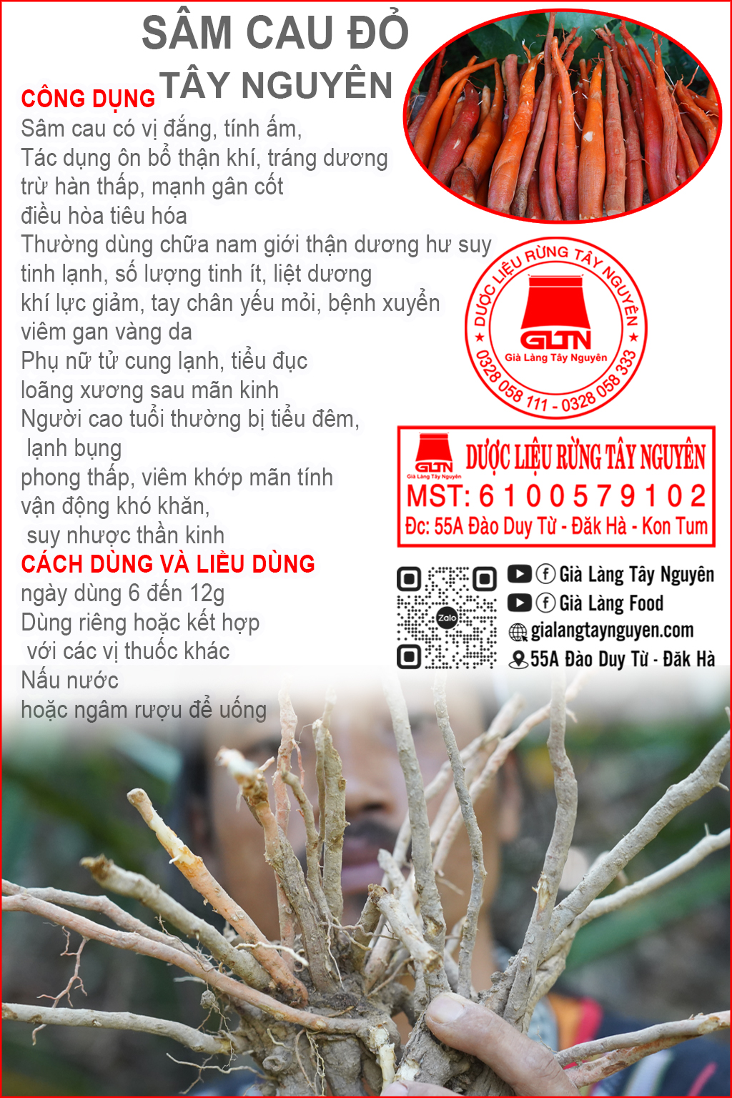 cây sâm cau đỏ - Image 3