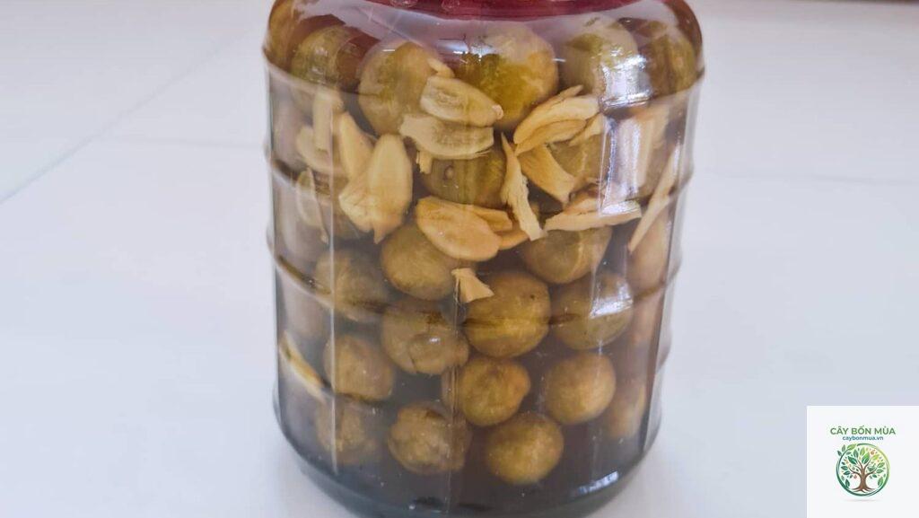 cây sấu ngâm