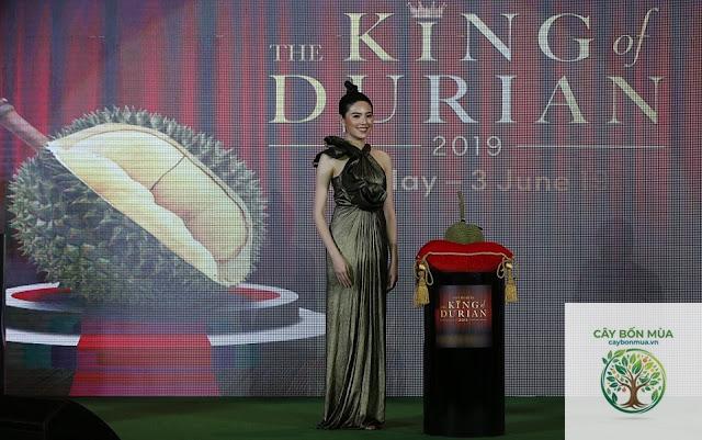cây sầu riêng Kan Yao - Image 1