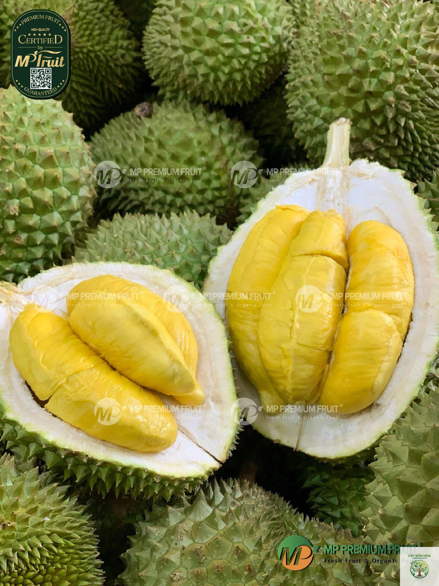 cây sầu riêng Malaysia - Image 4