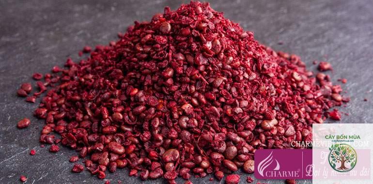 cây sumac - Image 3