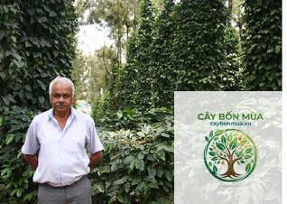 cây tiêu Kerala - Image 2