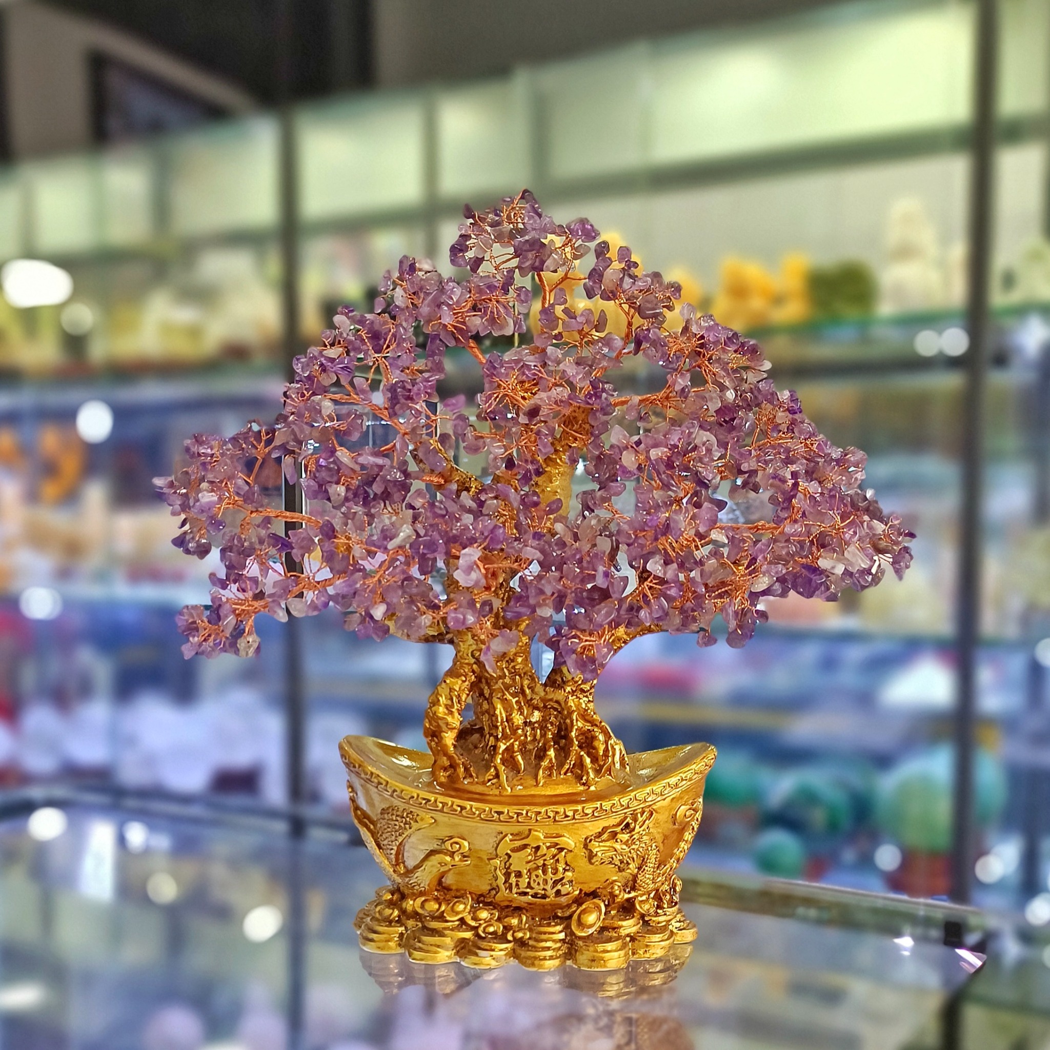 cây vang tím - Image 3