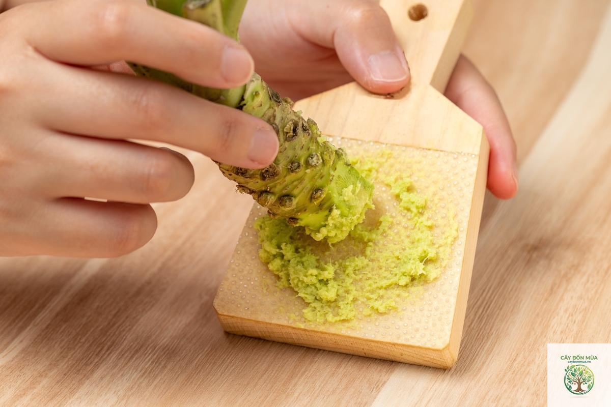cây wasabi Shizuoka - Image 2