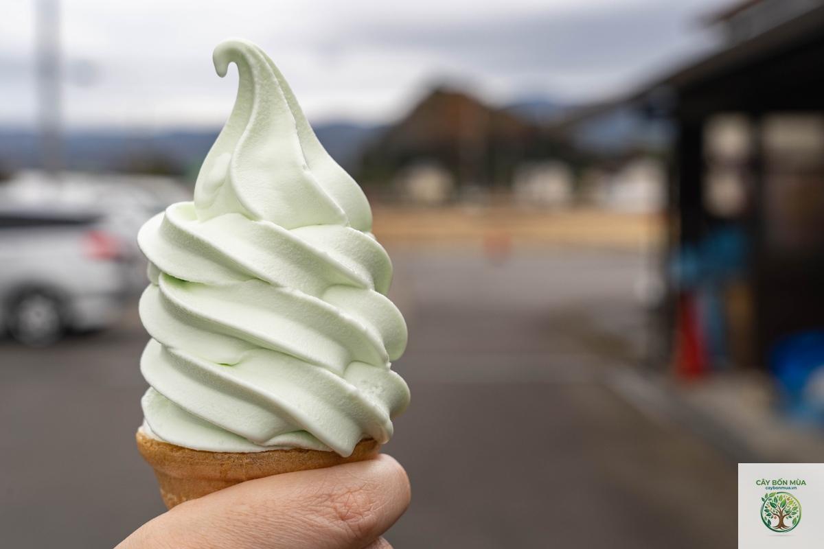 cây wasabi Shizuoka - Image 3