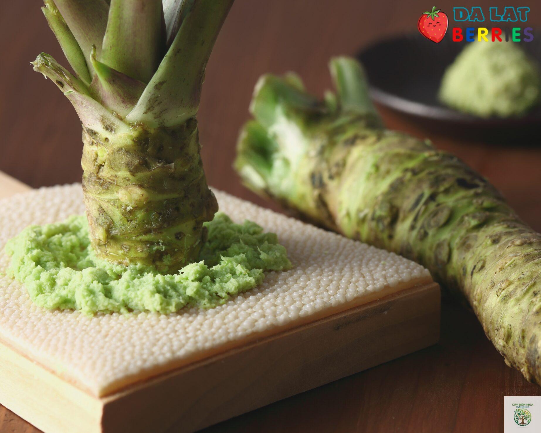 cây wasabi nước - Image 3