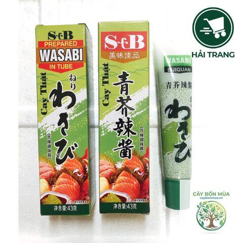 cây wasabi xanh - Image 2