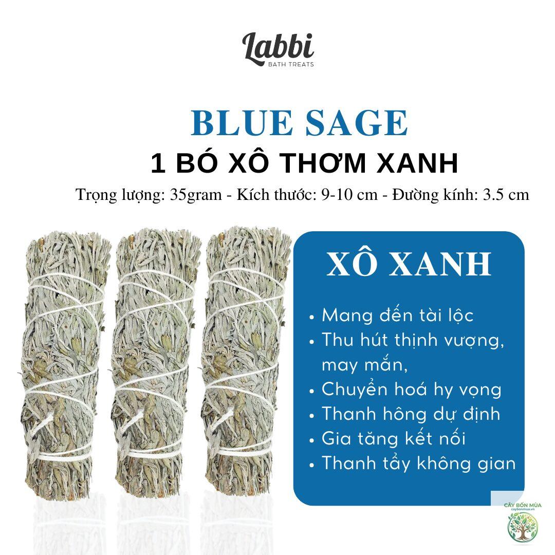 cây xô thơm xanh - Image 5
